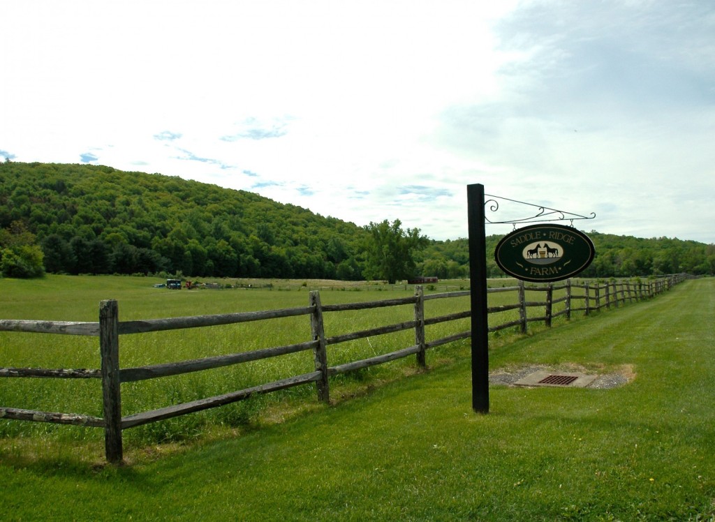 Saddle Brook Farm