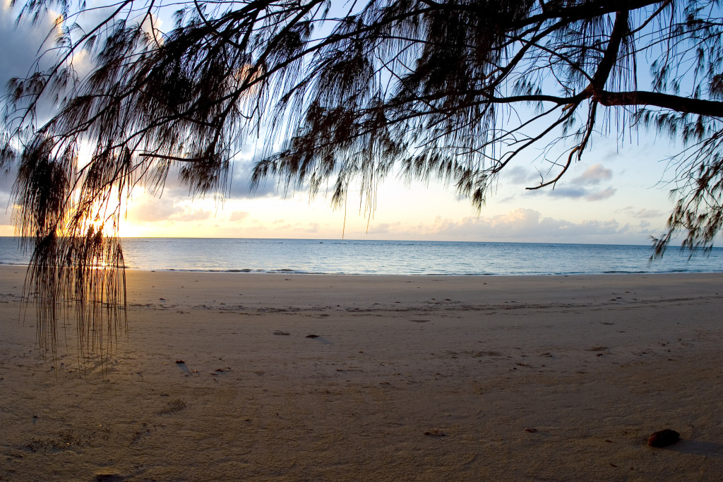 A stock photograph of sunrise on a deserted beach in Cape Tribulation, Northern Queensland, Australia.