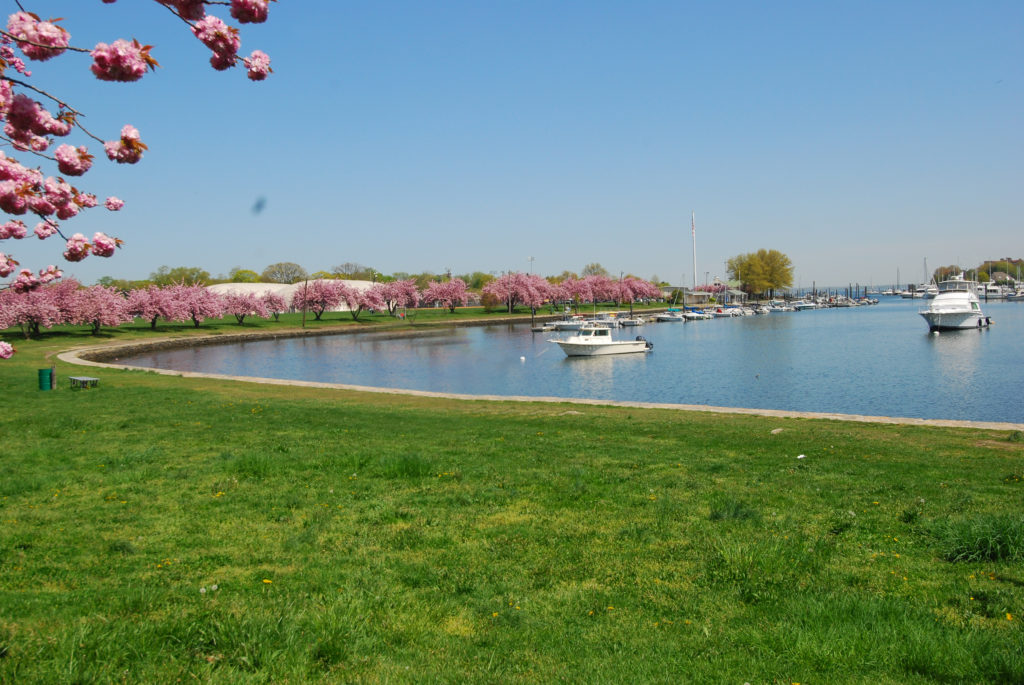 mamaroneck-harbor-2-harbor-island