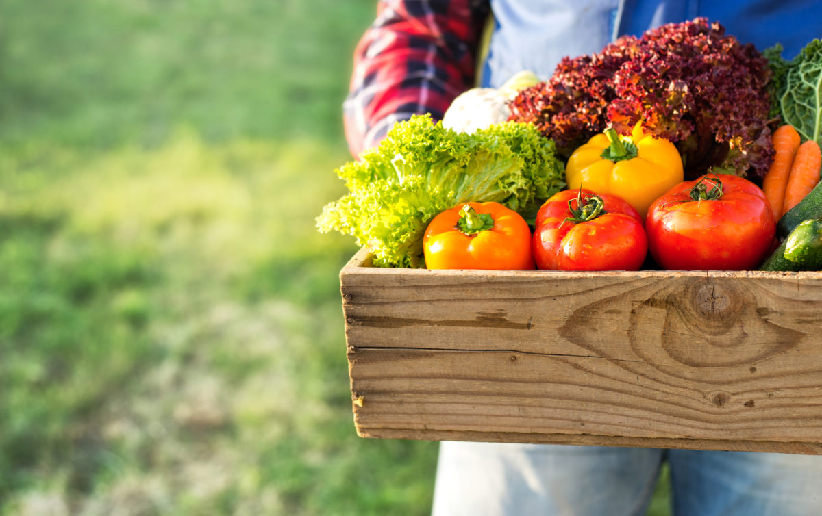 farmer holding box with fresh organic vegetables