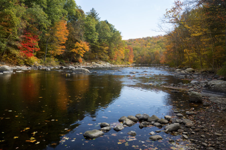 Views of the Farmington River in Canton, CT