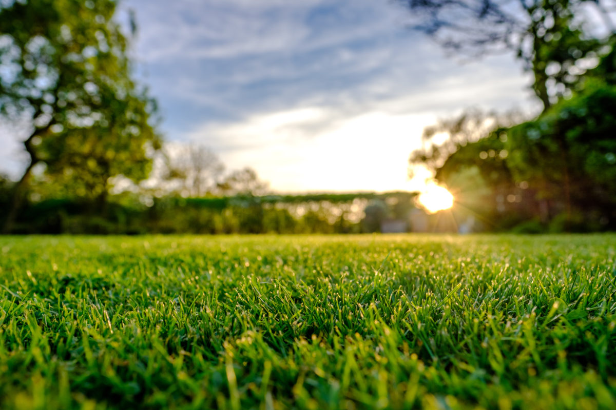 Majestic sunset seen in late spring, showing a recently cut and well maintained large lawn in a rural location. The sun can be seen setting below a distant hedge, producing a sunburst effect.