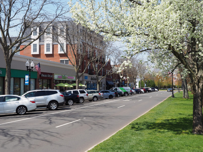 West Hartford CT main street blooming