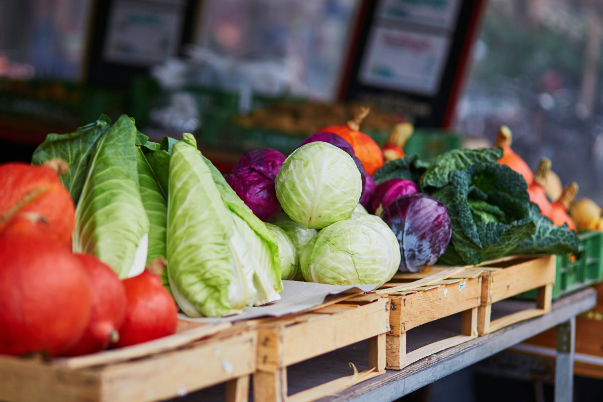 Ripe pumpkins and cabbage on farmer agricultural market in Germany. Fresh healthy bio fruits and vegetables in grocery shop or supermarket