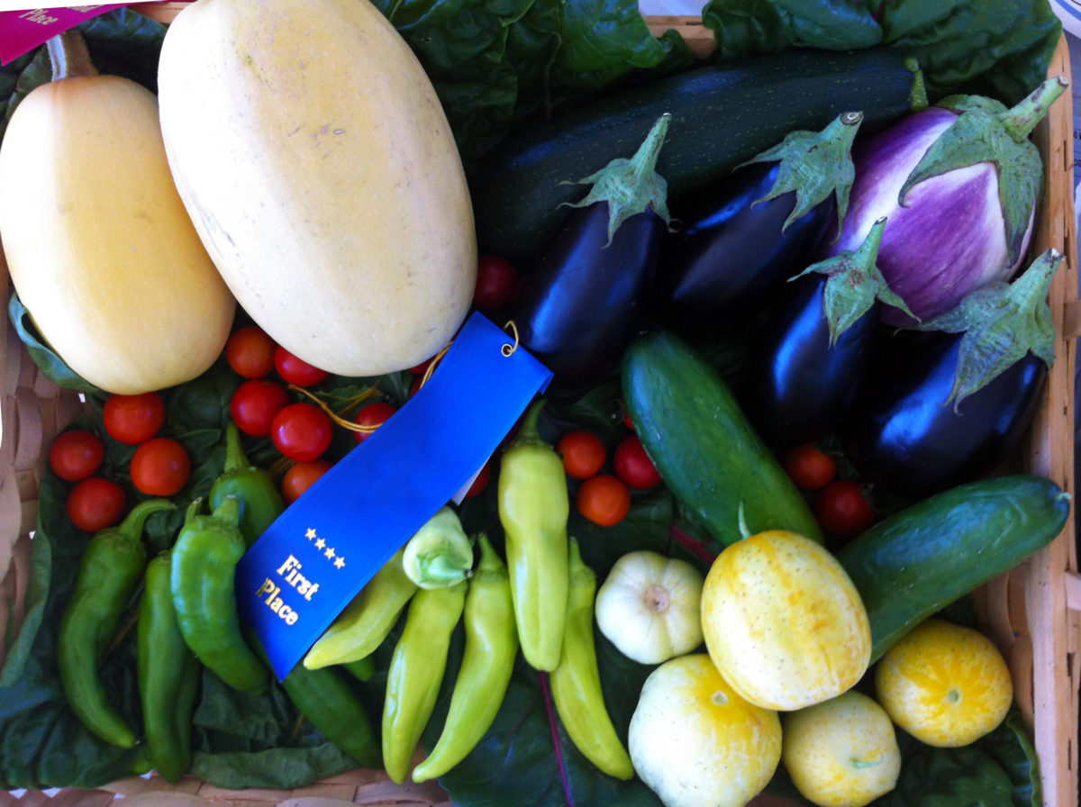 blue ribbon fruits and vegetables at a sate fair in utah