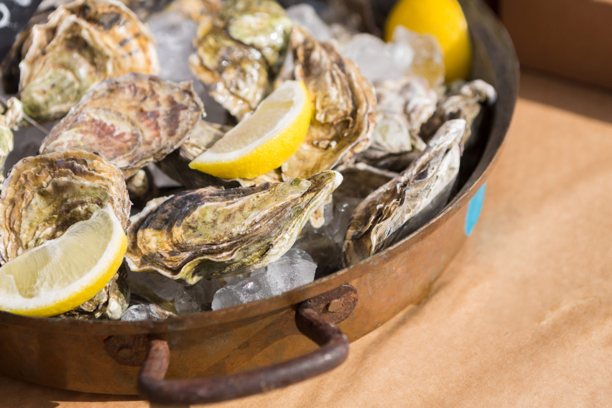 Fresh oysters on tray with ice and lemon pieces. Delicious seafood